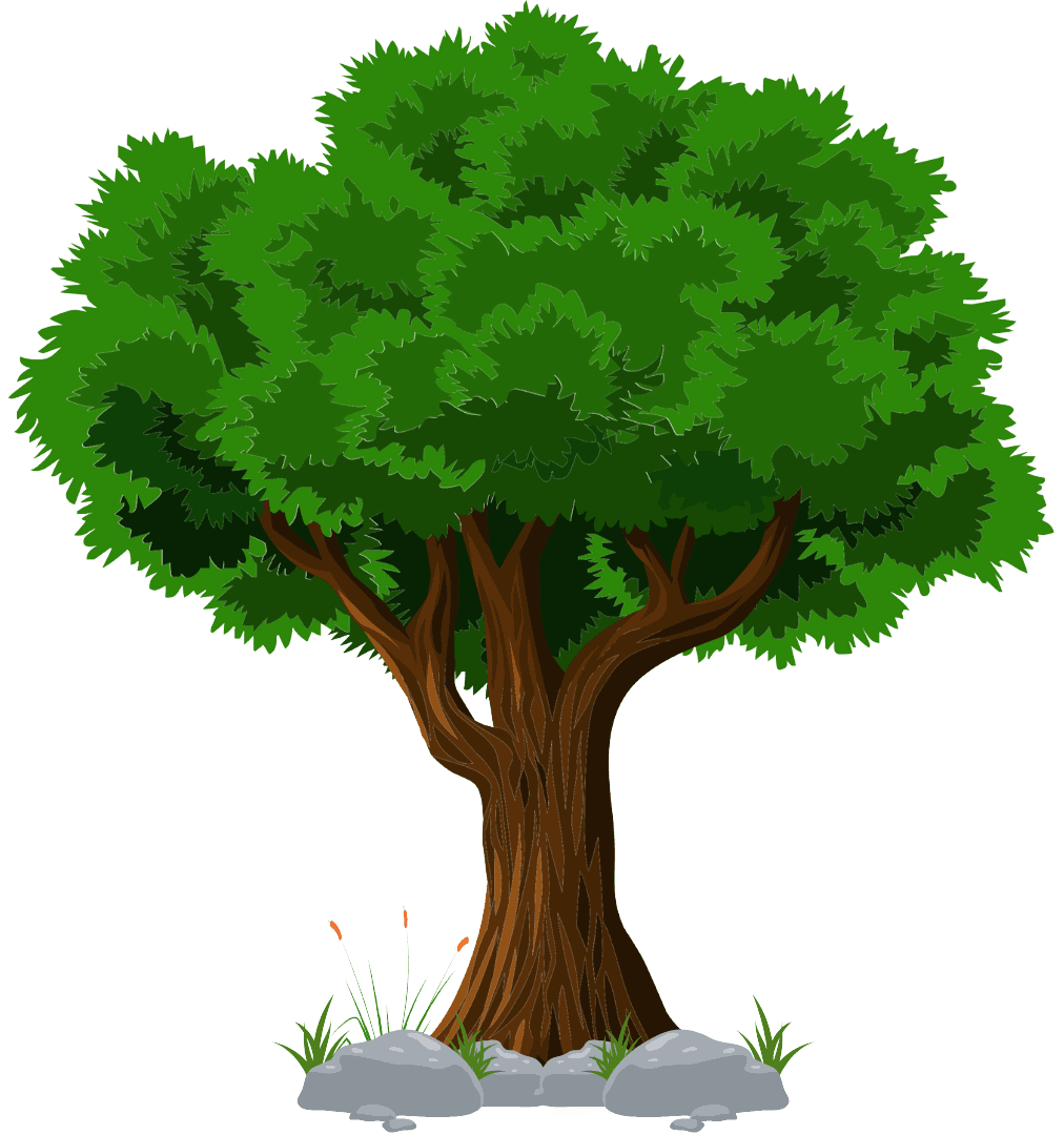 Premium press release package for high-impact media coverage, brand credibility, and online authority.